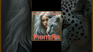 PanteRa - Rarty In The Space! 2025