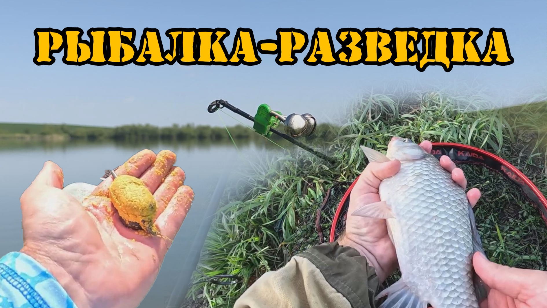 Рыбалка - разведка🎣 Карась здесь точно есть! Донка и флэт. #рыбалка #fishing #feeder #карась #донка