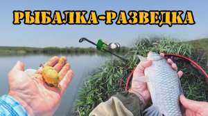 Рыбалка - разведка🎣 Карась здесь точно есть! Донка и флэт. #рыбалка2025 #fishing #feeder #карась