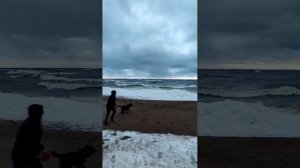Ладожское озеро, Видлица
