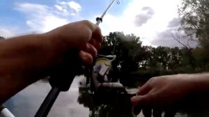 Попал на раздачу Карпа. Рыбалка