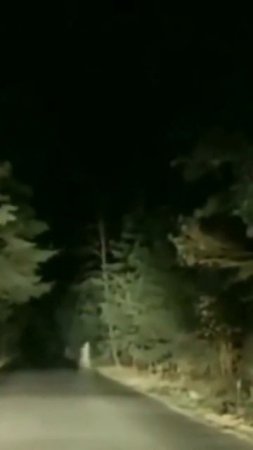 Призрак на дороге 😱