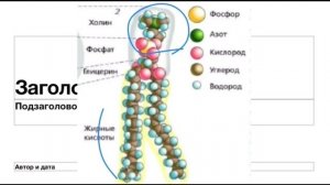 Чудеса всевышнего