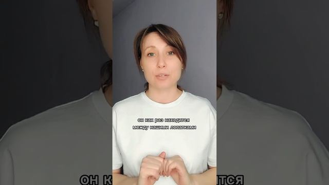 Народная мудрость и строение нашего сердца