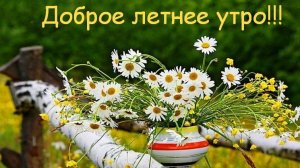 С добрым,летним утром!