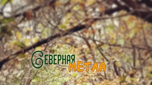 🌿Новый влог о книгах.🌿