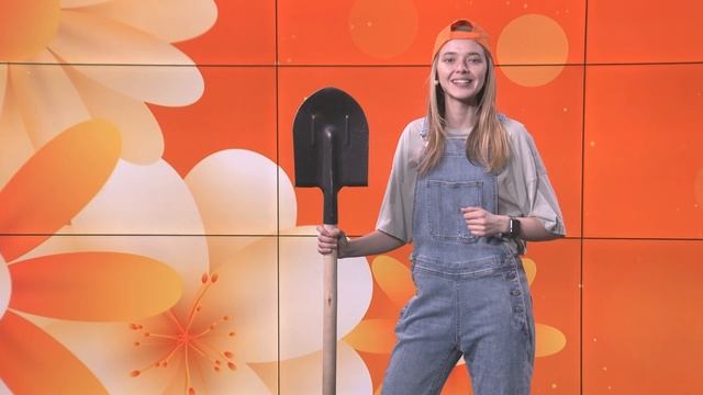 Апельсин. Садовый календарь. 26-06-2025