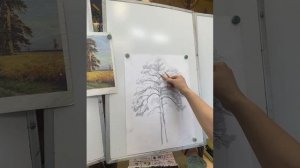 Русинова Н.Н. Рисуем сосну