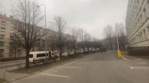 Санитарная и формовочная обрезка лип 2023 год