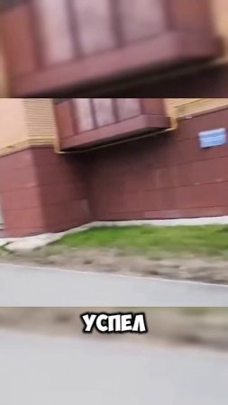 Самокатчики на естественном отборе #shortvideo #shorts #video #юмор #новости #развлечения #дтп #мем