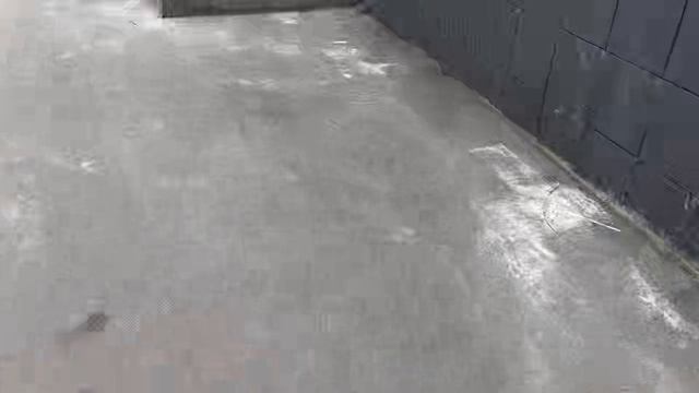 Тропа среди великанов