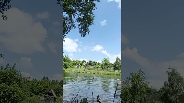плавание