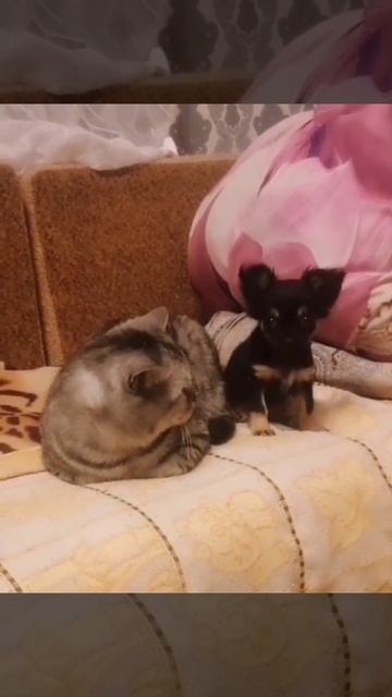 Who are you?