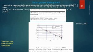 Мюоны в широких атмосферных ливнях