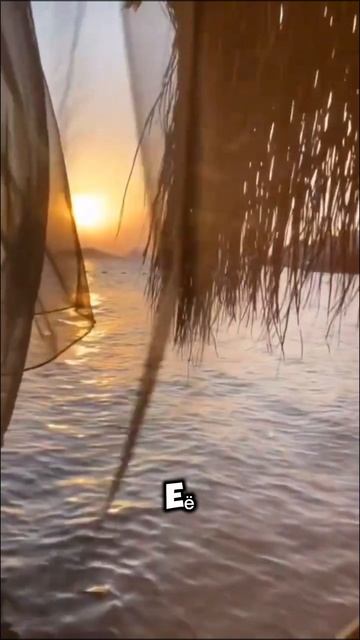 1000102896.mp4