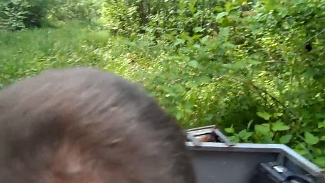 Гусеничный вездеход