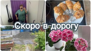 Скоро в дорогу. Привезли щебень. Подстригли собаку.