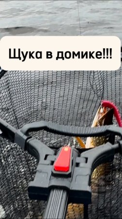 Щука в домике! #рыбалка#fishing#трофей#трофейнаярыбалка#щука#судак#рекомендации#паноптикс#поклевка