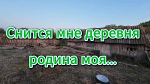 Деревня, закат, прогулка для тех кто устал от города, лето 2025