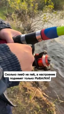 А вам что поднимет настроение?!