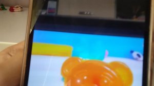 Желтобрюх мне надоел и пытается всем угодить песней
