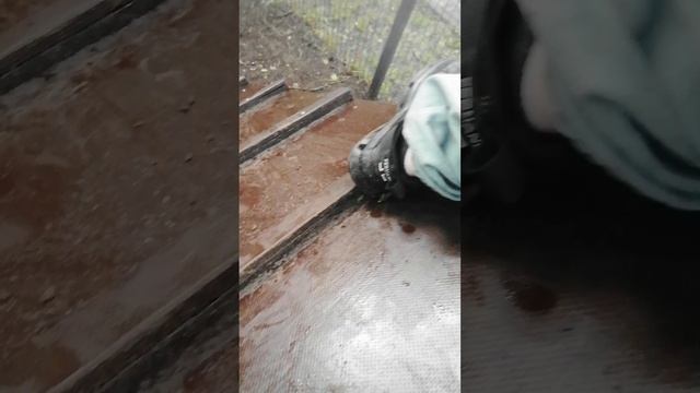 fucking news