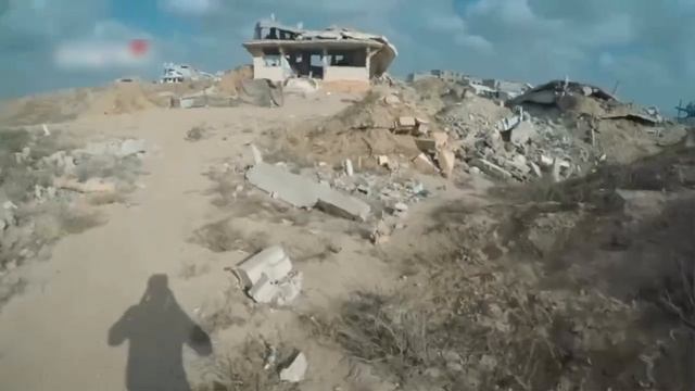 • Абсолютно дикие кадры, опубликованные сегодня вооруженным крылом.