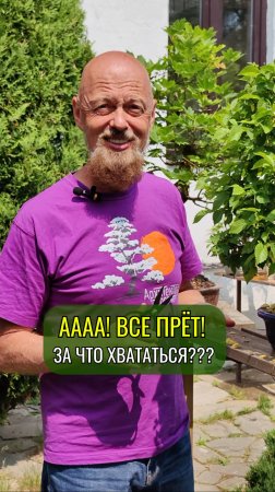 Аааа! Все прёт! За что хвататься???