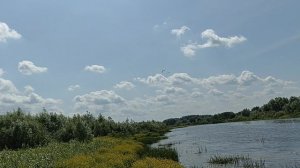 Река Илевна и птицы в небе.