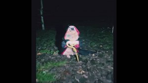 Смешные видео, парень упал в погреб, кот упал вместе с комодом
