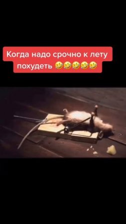 Давайте вместе 😁
Бот поможет https://t.me/Istinacel_bot?start=vesref366901395