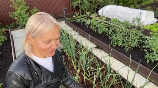 В деревню на дачуОбзор сада после ливня 20июня2025