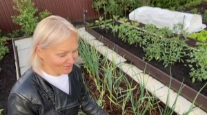 В деревню на дачу🏡#Обзор сада после ливня 🌨️#20июня2025