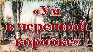 «Ум в черепной коробке». Как Лука Войно-Ясенецкий развалил «дело врачей».