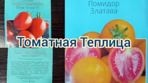 ТОМАТНАЯ ТЕПЛИЦА/ КАКИЕ ТОМАТЫ и ЧЕМ ПОДКАРМЛИВАЮ. 24.06.25г