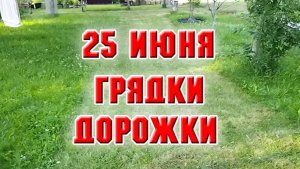 25 июня. Грядки, дорожки