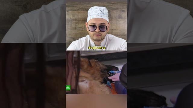 Нет слов…💔
