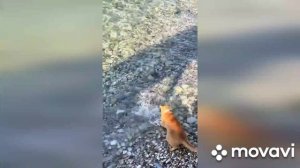Лучшие рыбаки они такие.