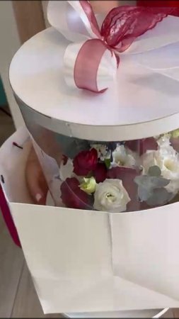 Живые тропические бабочки в Ростове-на-Дону