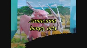 Антилопа bongo, orix из бумаги своими руками.