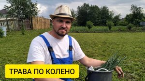 ОГОРОД ЗАРОС, СОБИРАЕМ ПЕРВУЮ ЯГОДУ / Деревенька на Урале / Выпуск 61