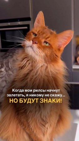 ЗНАКИ☝️