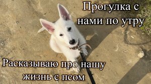 Утро на прогулке. Рассказываю про нашего пса 🐕