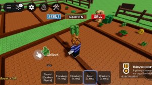 выращиваю сад в roblox