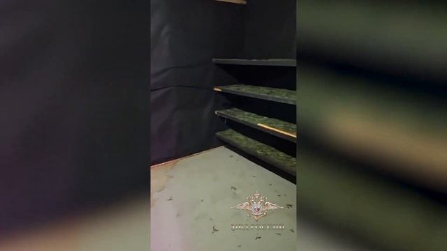 Четверо новосибирцев пойдут под суд за выращивание конопли // "Новости 49" 25.06.25