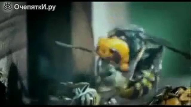 Нападение шершней на пасеку пчёл