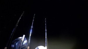 три сразу рыбалка на сазана на Дону #дон #рыбалка #сазан #летом #природа #кайф #рыжик #рыжий