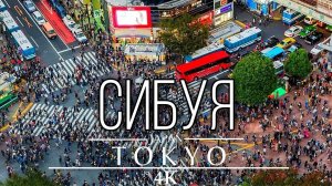 Пешая прогулка по району Сибуя, Токио, Япония