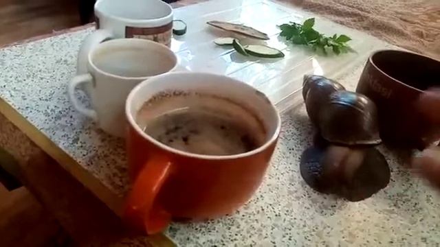 Уля расплыла-ась ! смотреть онлайн