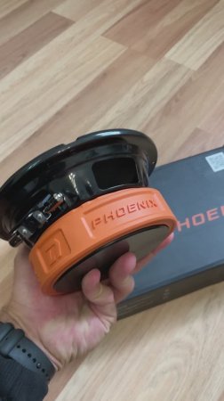 СВЕРХГРОМКИЕ динамики, от НИЗОВ которых перехватывает дыхание DL Audio Phoenix Punch Machine 165